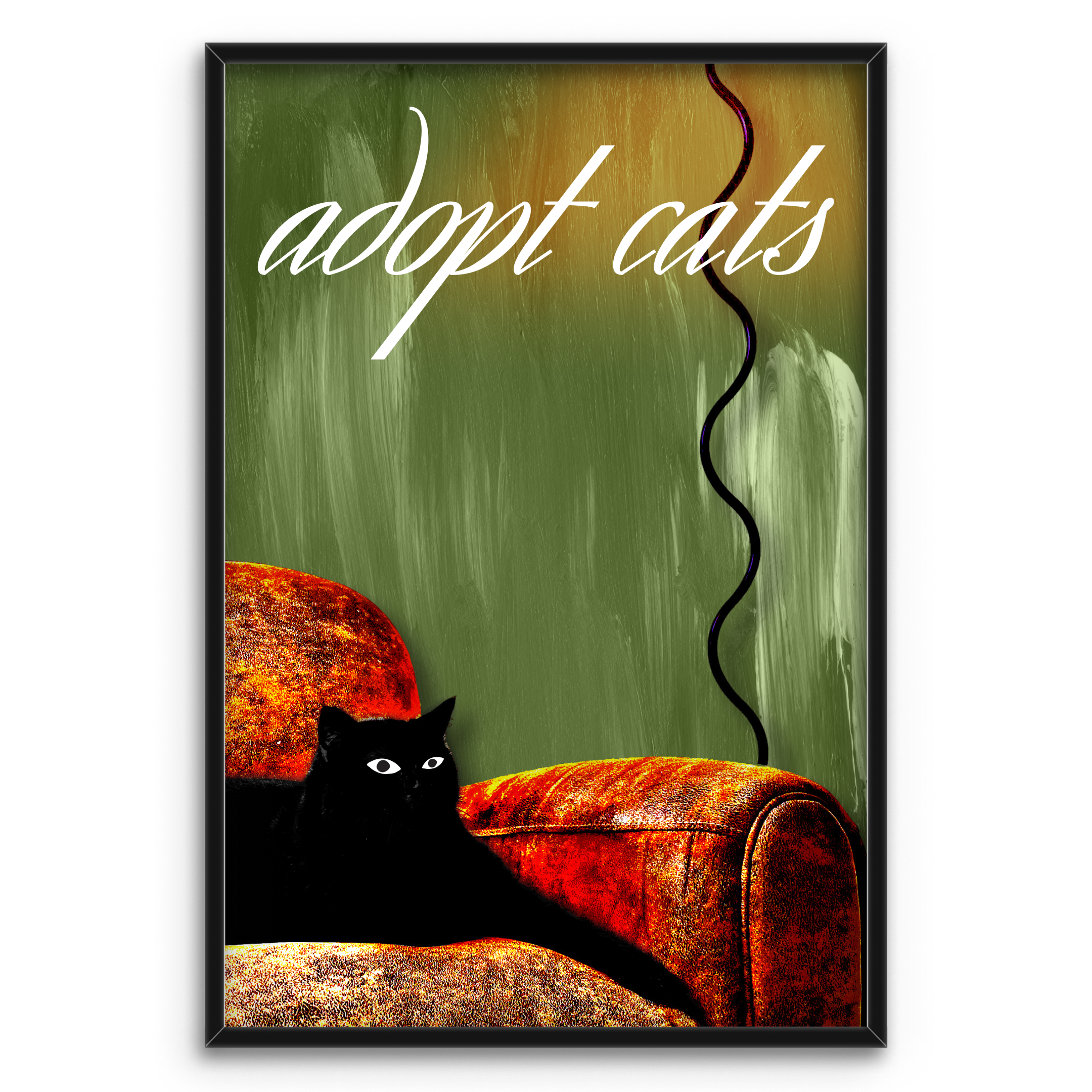 Adopt cats