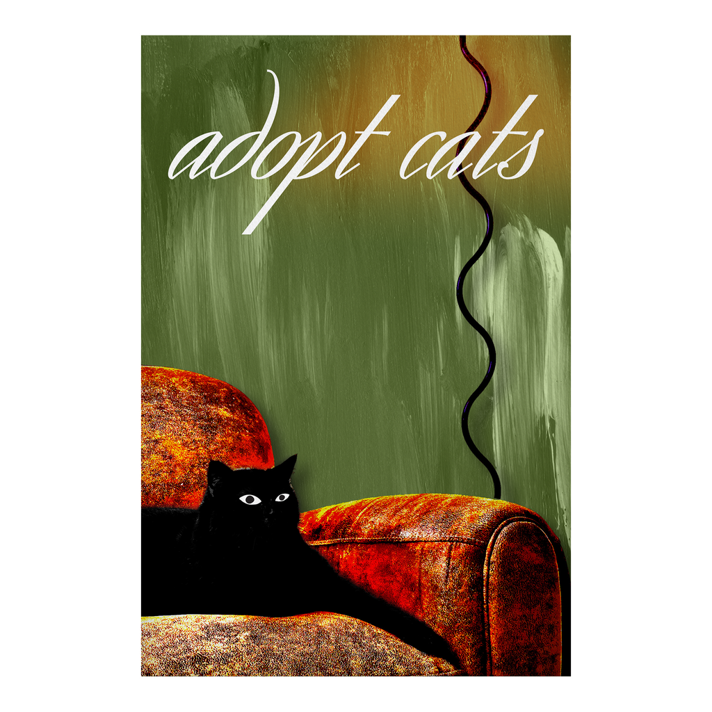 Adopt cats