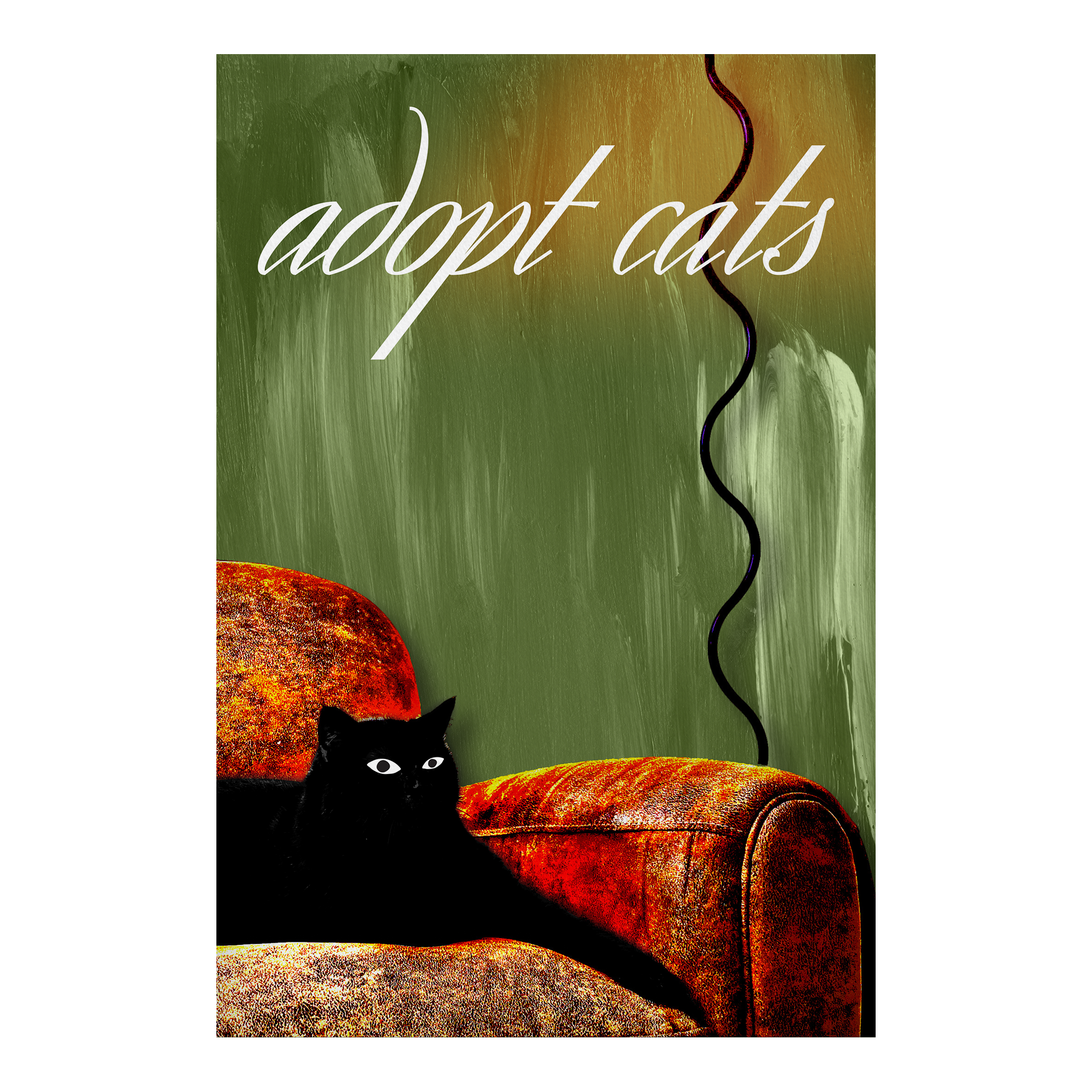 Adopt cats
