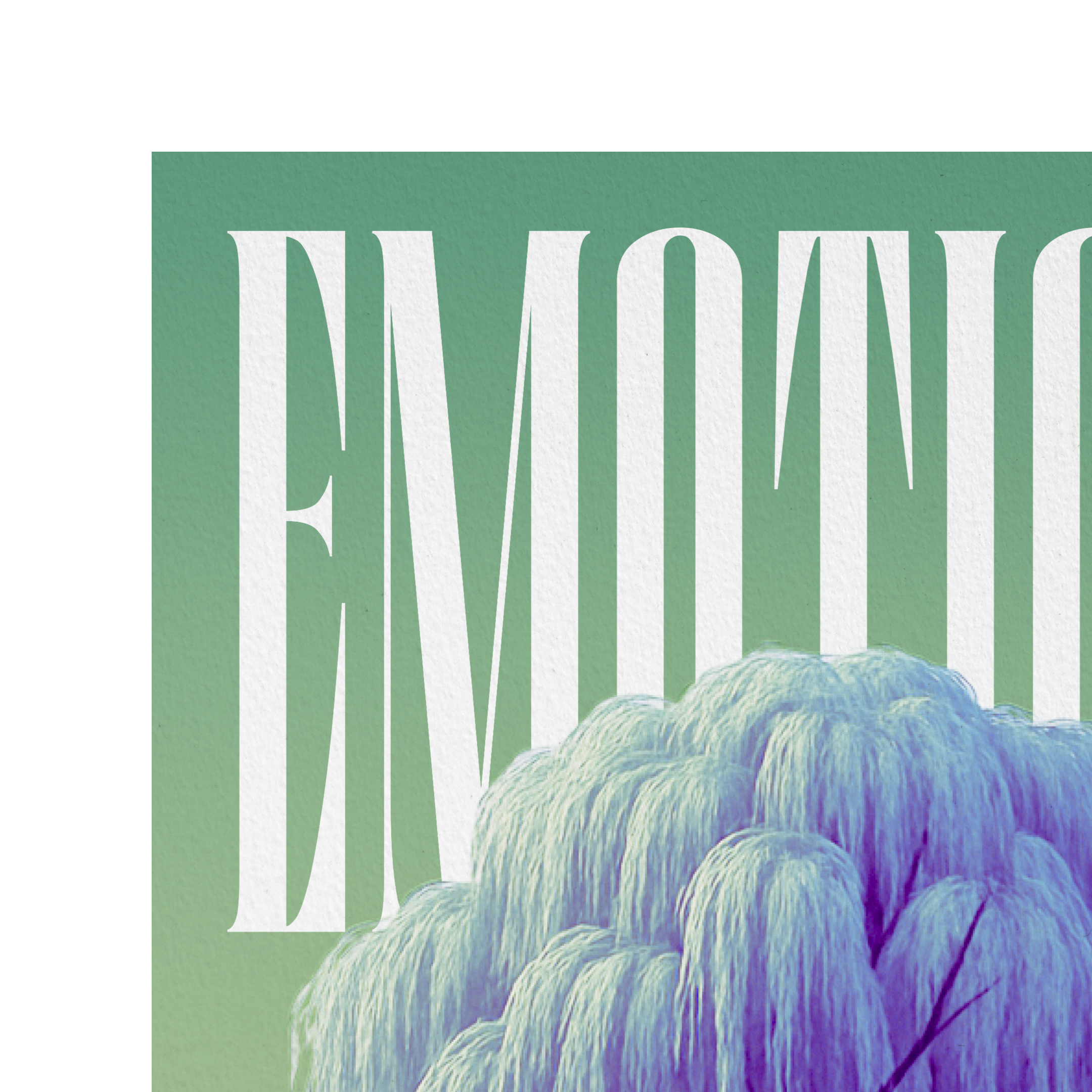 Emotions