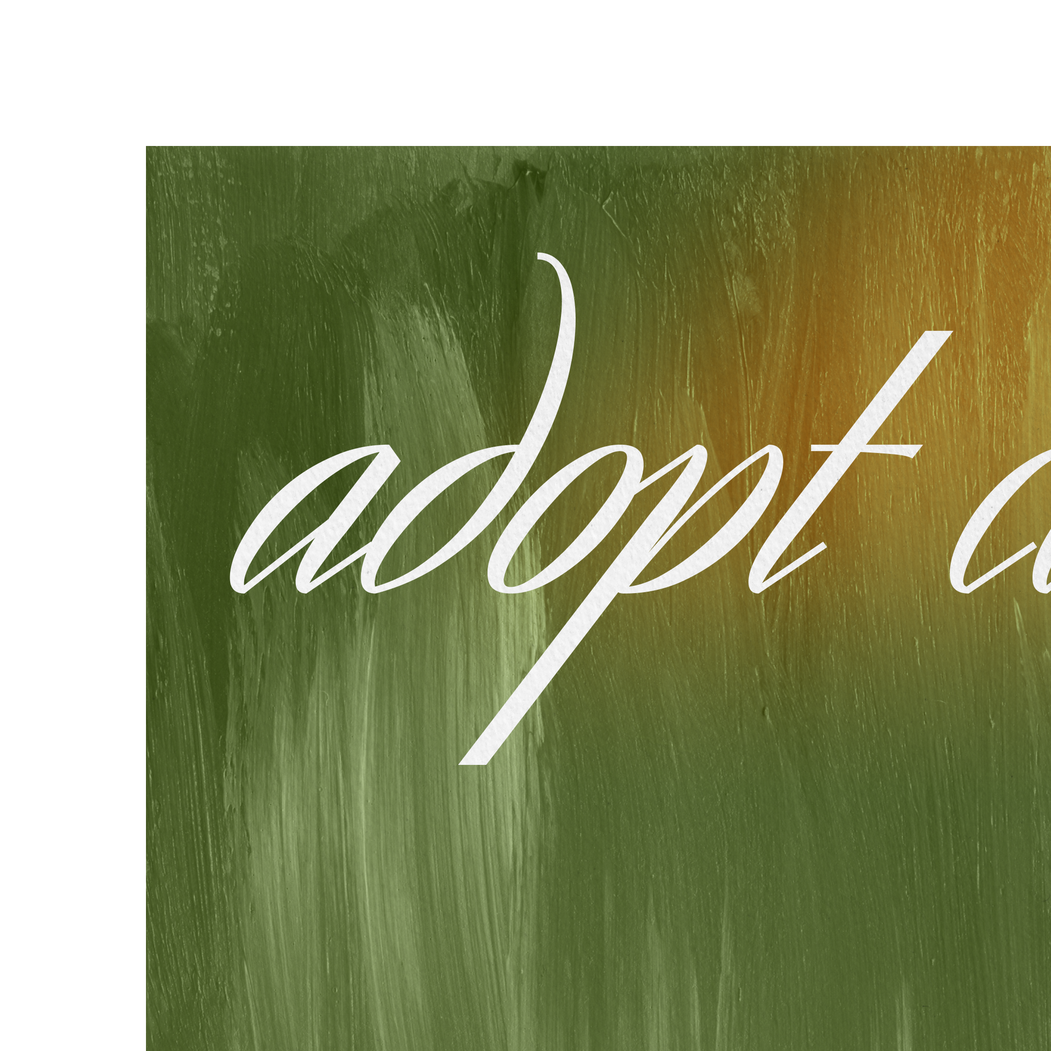 Adopt cats